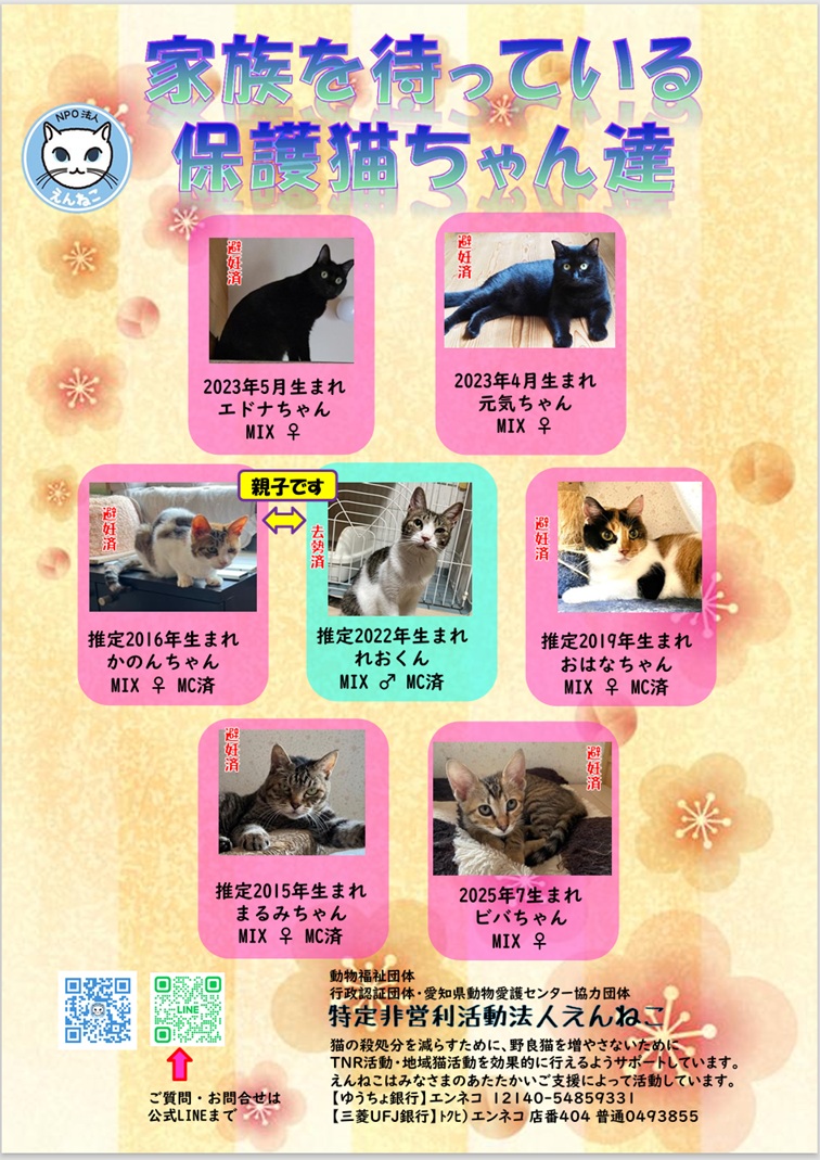 NPO法人えんねこ tweet media