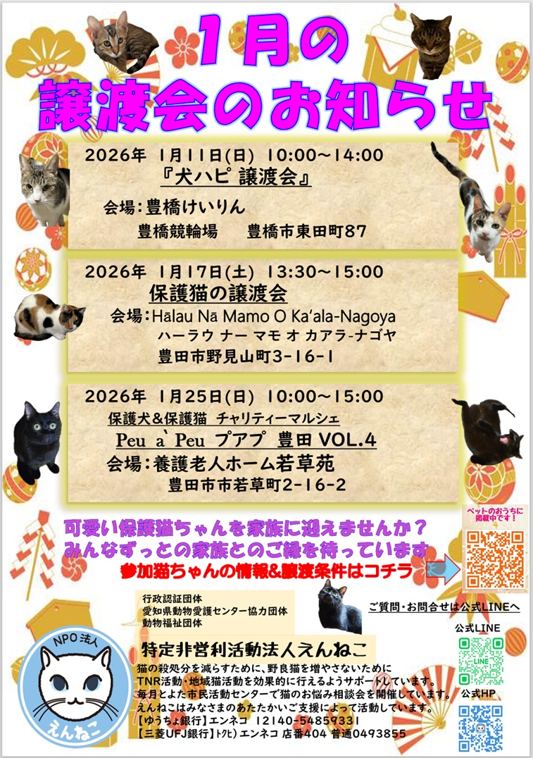 NPO法人えんねこ tweet media