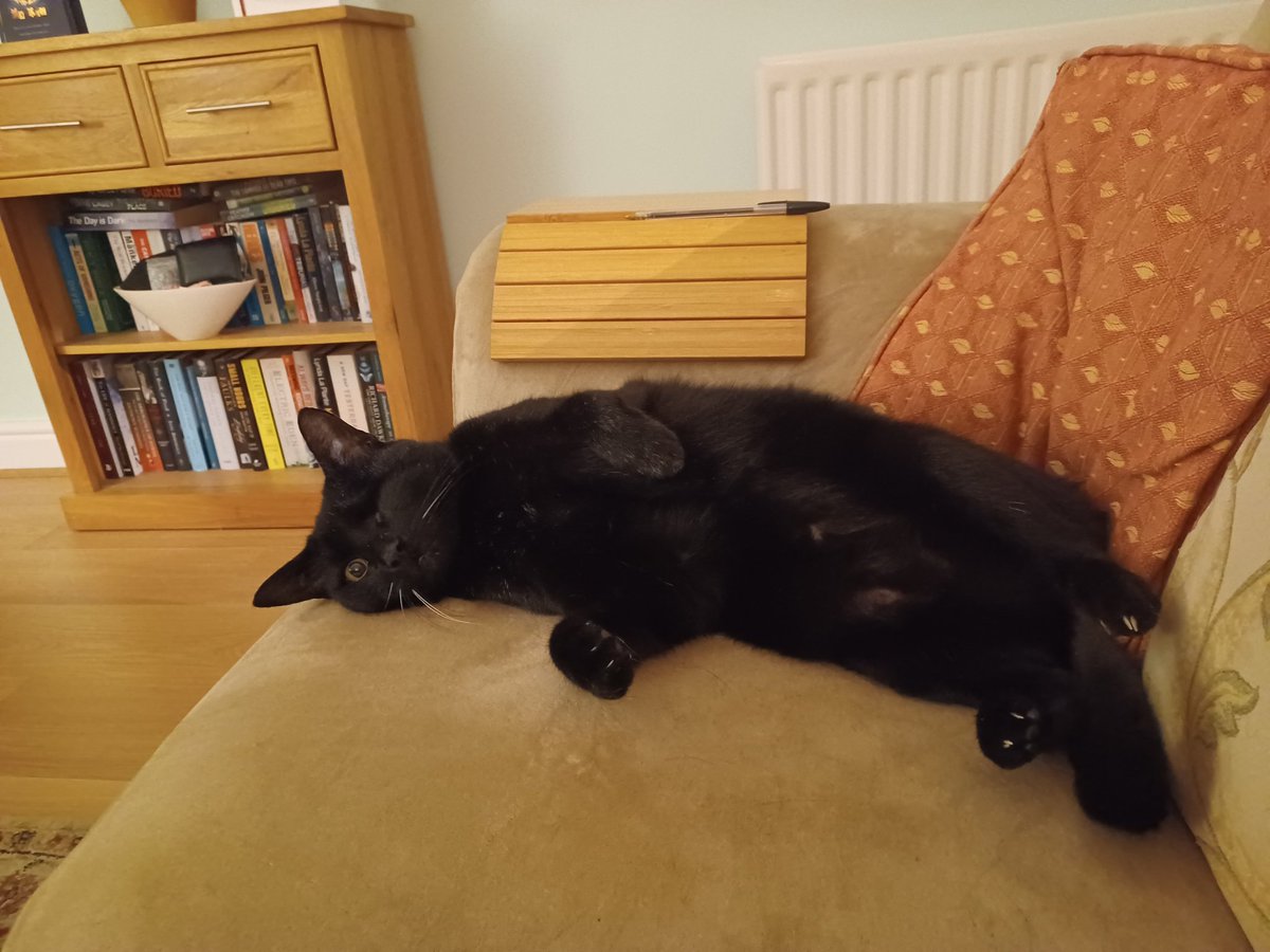 Happy #jellybellyfriday, #CatsOnTwitter. I've done pawtrol and now it's time for a well-earned rest, especially after the wind and rain permeated my floof! Have a great day, everypaw!