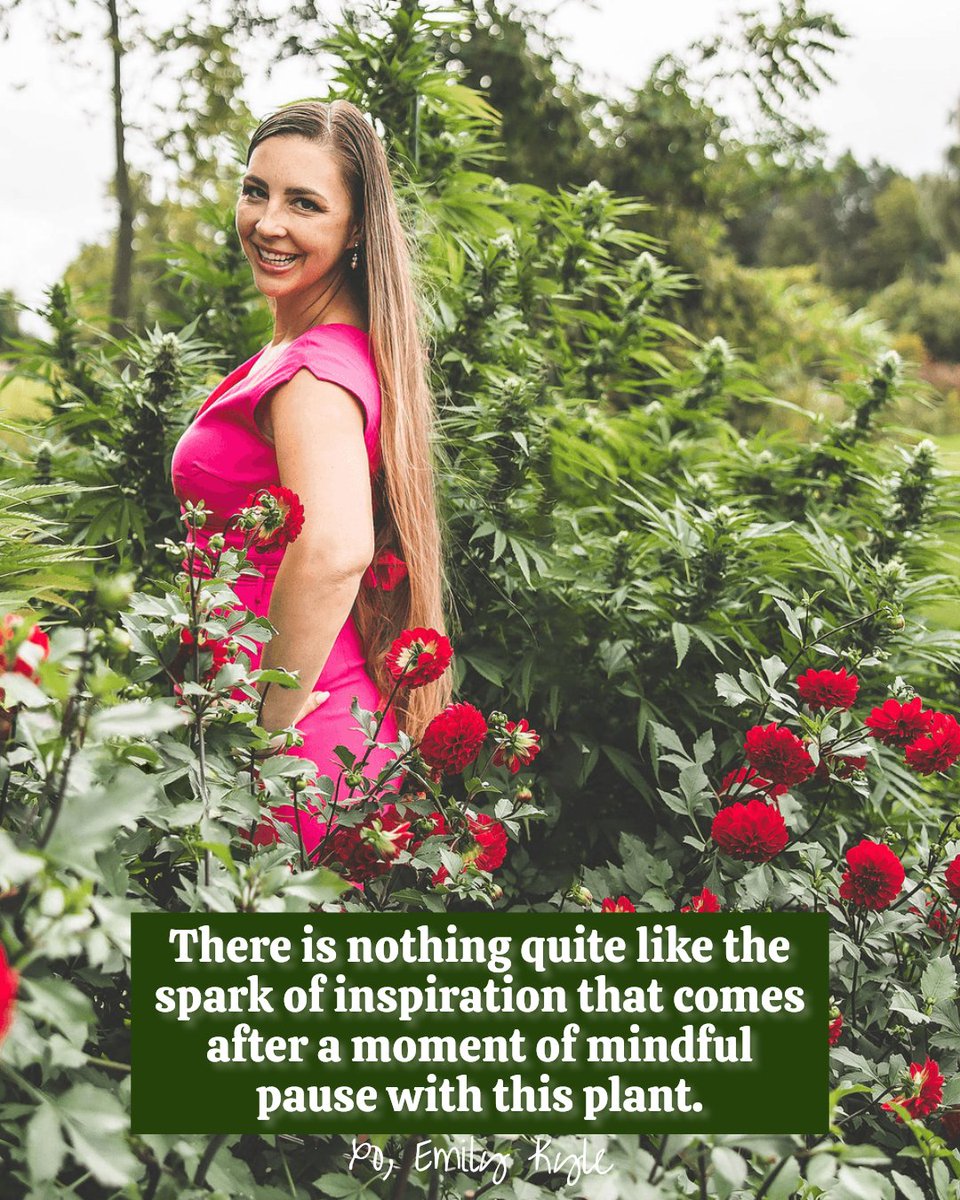 EmKyleNutrition's tweet image. Creativity flows best when the mind is calm, and the spirit is gently lifted by nature. ✨

#HolisticHealth #HolisticWellness #EmilyKyle