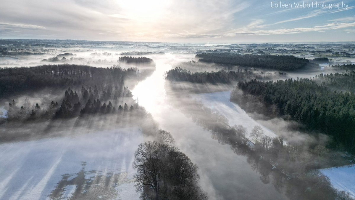 Colleen Webb tweet media