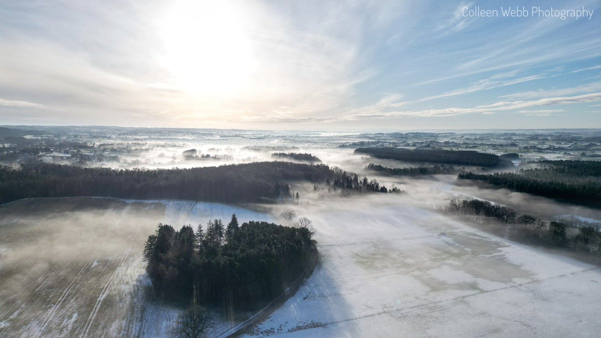 Colleen Webb tweet media