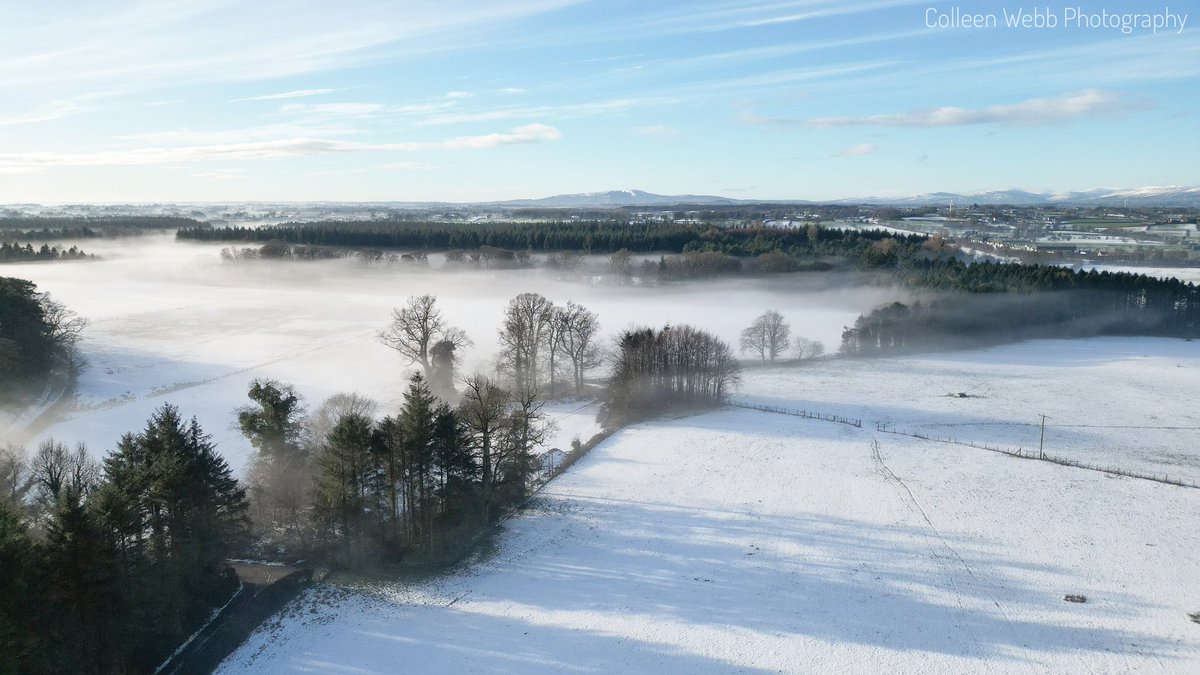 Colleen Webb tweet media