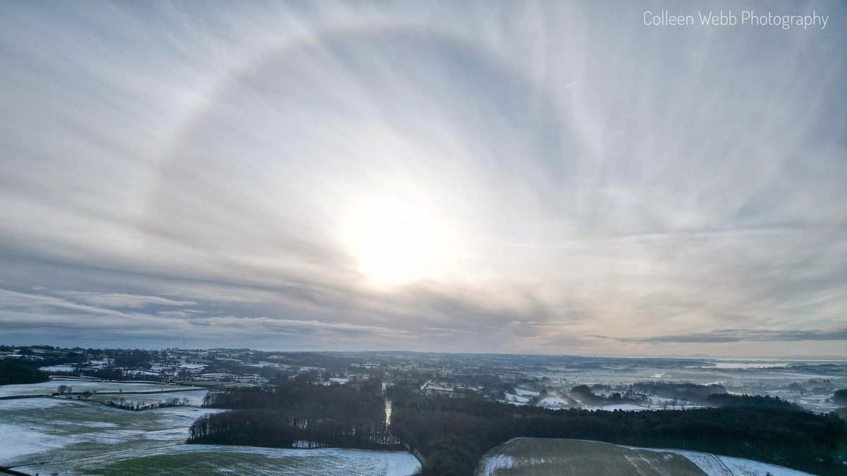 Colleen Webb tweet media