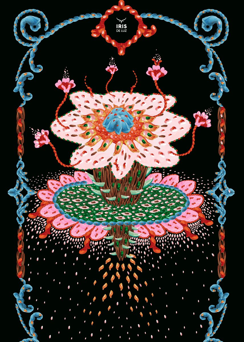Rizoma N° 7