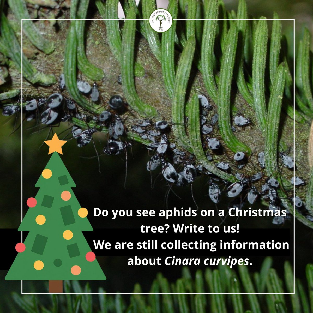 Institute of Nature Conservation PAS tweet media