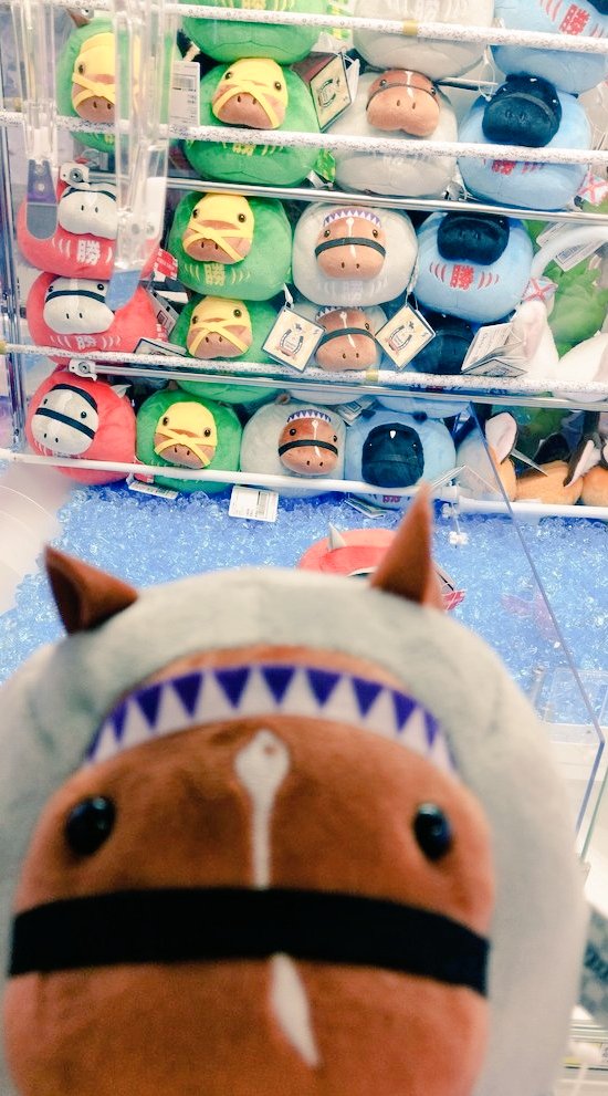 モッチー (@m_kikokiko9194) / Posts / X