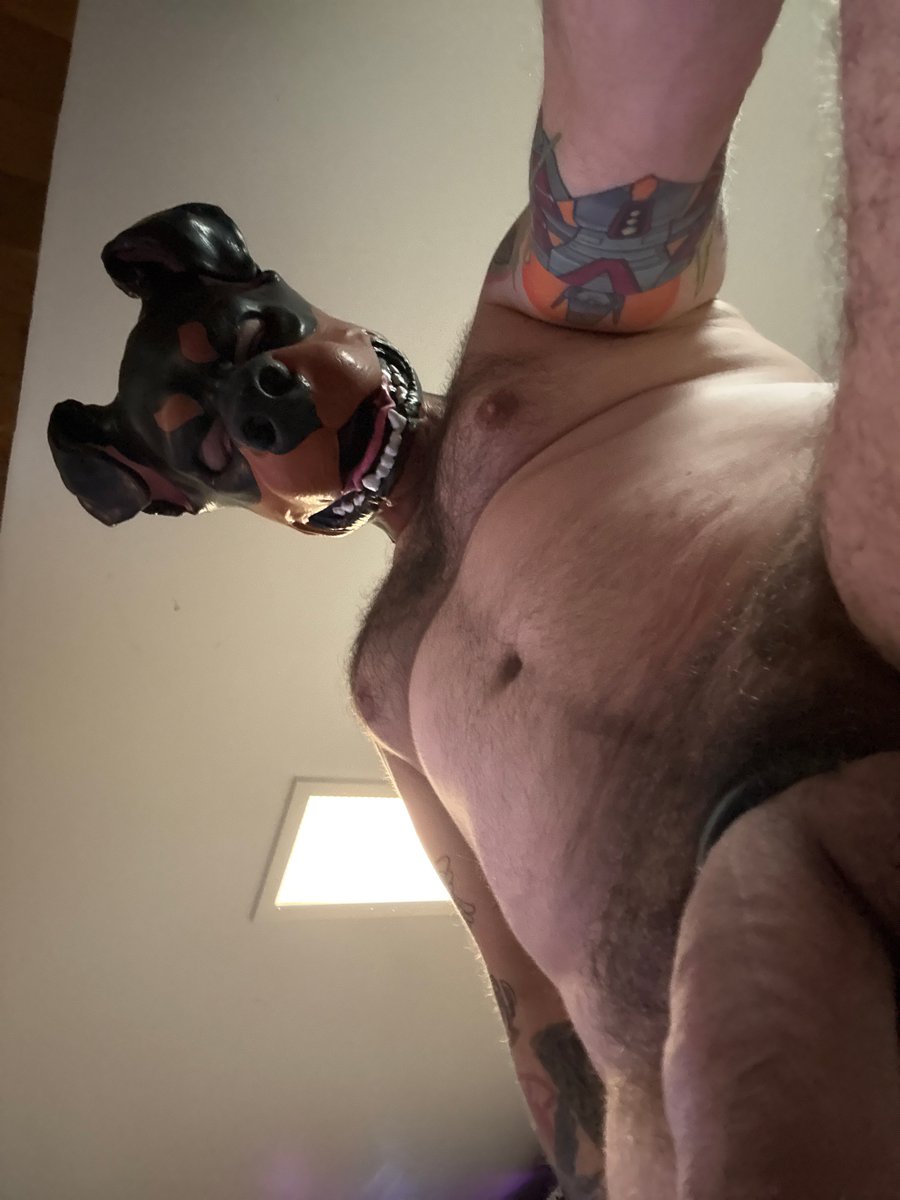 GatorRottieAD's tweet photo. Ruff !! https://t.co/bRITy3PtPH