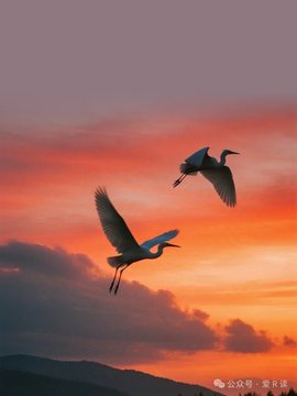 charlynegalls's tweet photo. Your presence here is already a quiet miracle. https://t.co/oyLQsEhV6e