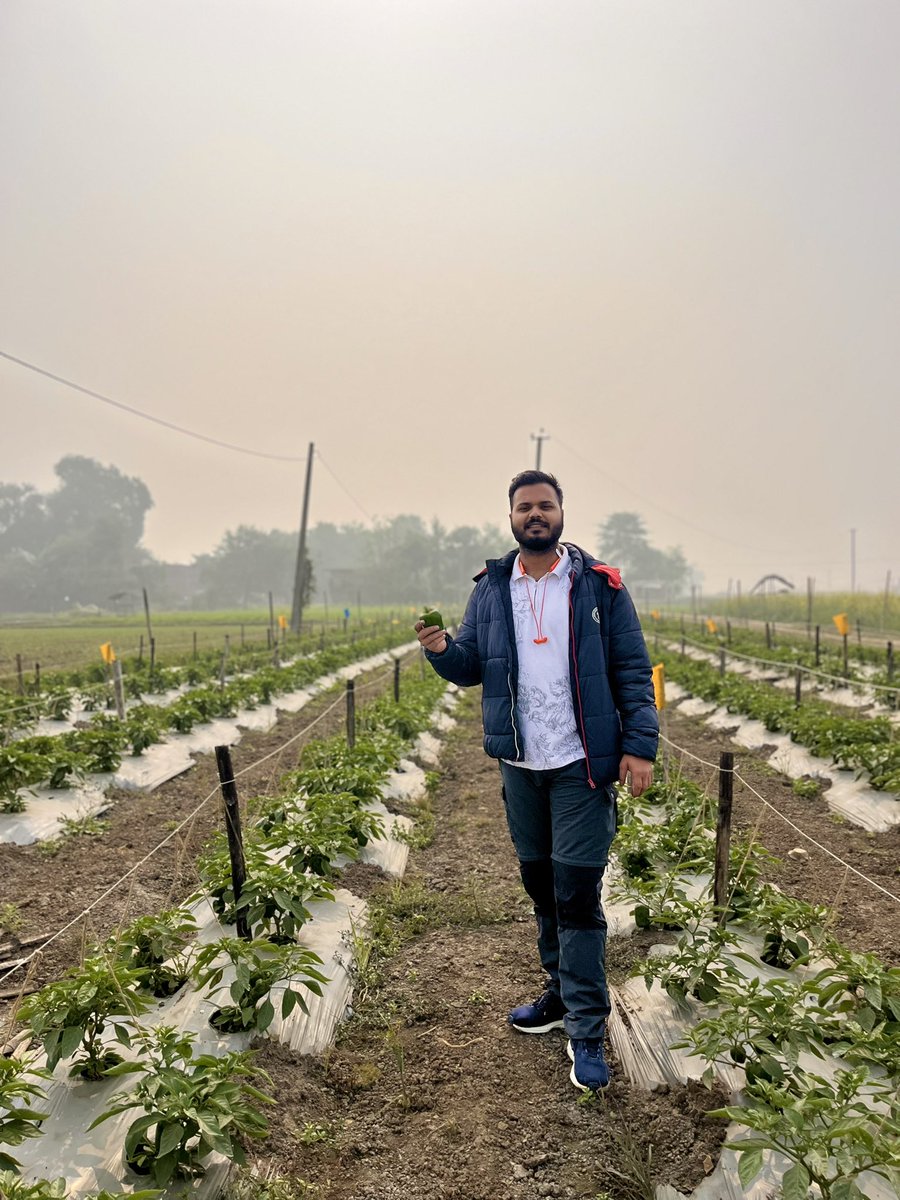 just_akshit's tweet photo. A happy farm is built on informed choices.
🌶️ Intruder (Syngenta) + Ayesha (Known You)
🌼 Marigold trap cropping for ecological balance

Productivity is not accidental—it’s designed. 🌱 https://t.co/8Ug6JwXev3