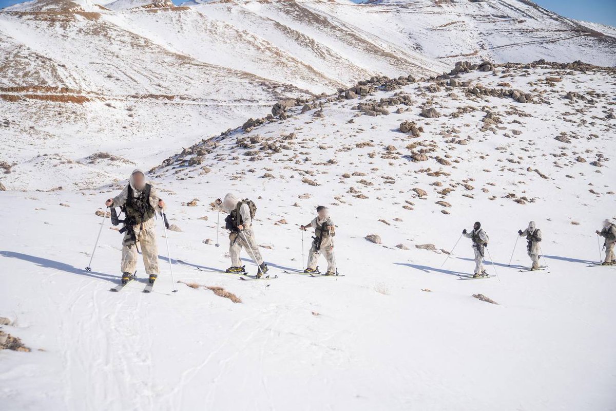 Eli Afriat 🇮🇱 tweet media