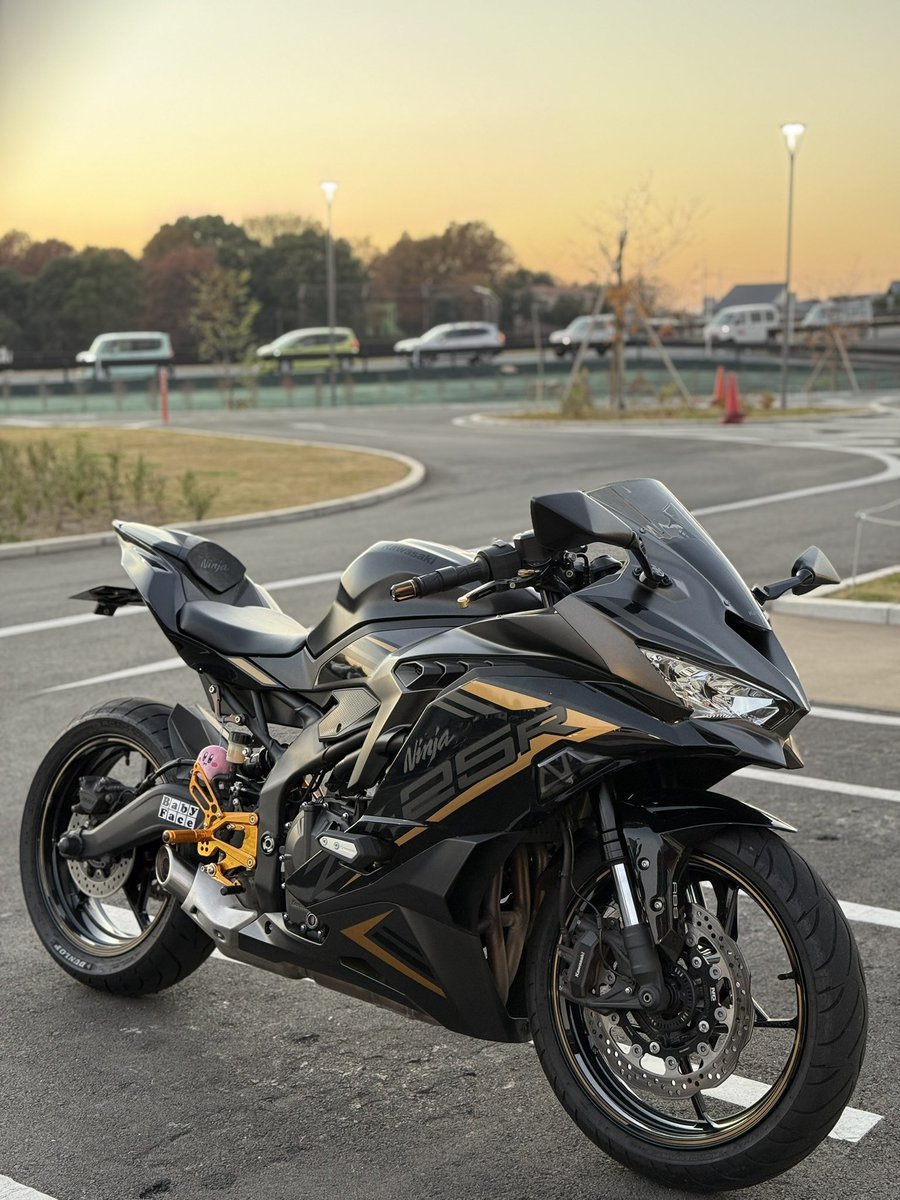 檸檬 今日は令和8年1月9日である意味バイクの