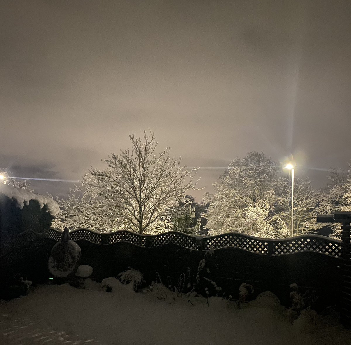 Winter walks #cavapoo #winterseason