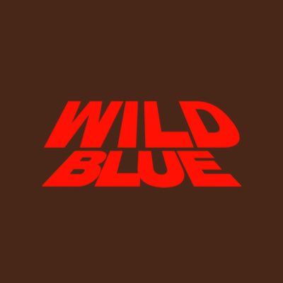 𝗪𝗜𝗟𝗗 𝗕𝗟𝗨𝗘 (@wildblue_ykme) / Posts / X