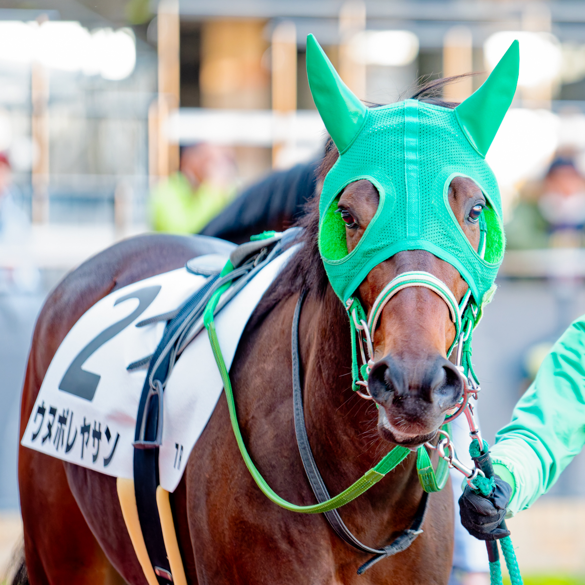 ウヌボレヤサン（セン・父ダノンレジェンド 母サクラヴァニータ） 馬主
