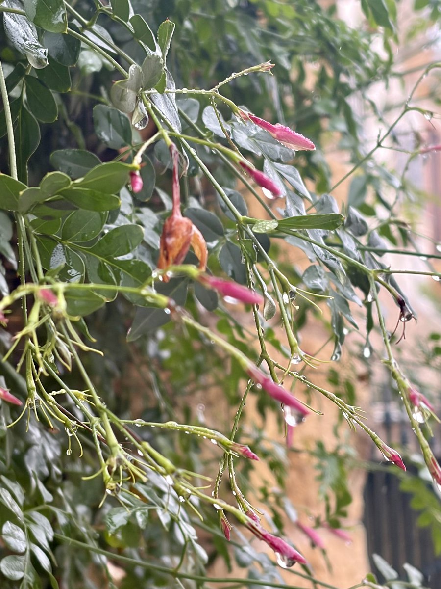 Encar (@encar77) on Twitter photo 