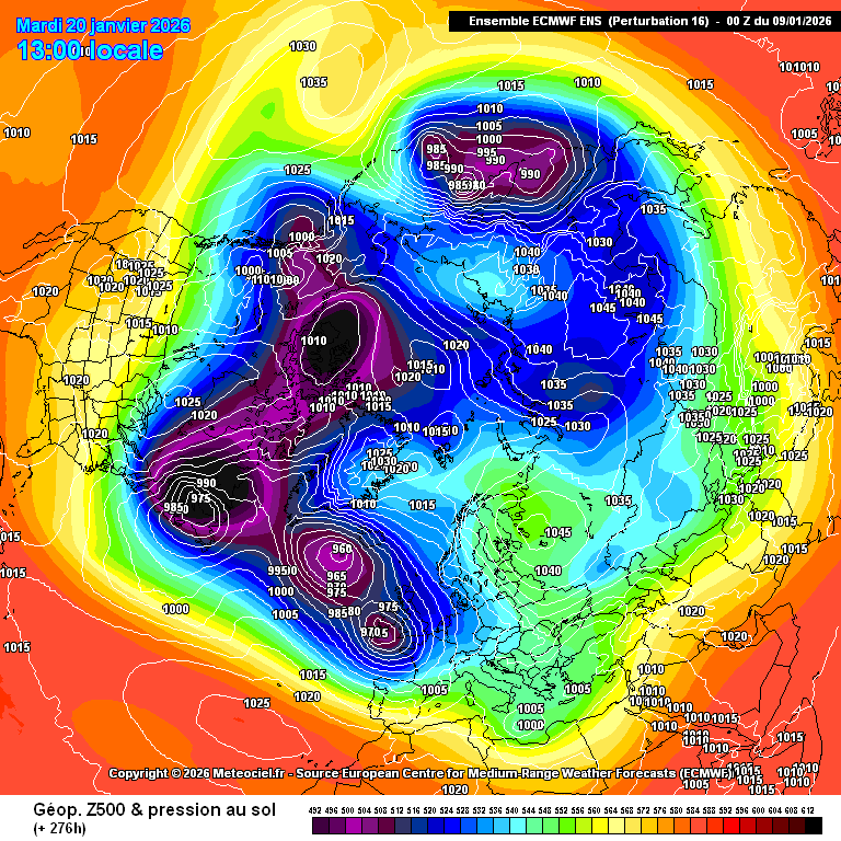 carlos/virazón tweet media