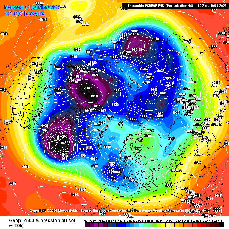 carlos/virazón tweet media