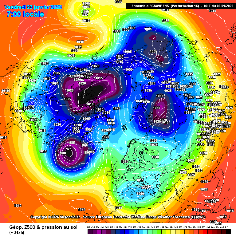 carlos/virazón tweet media