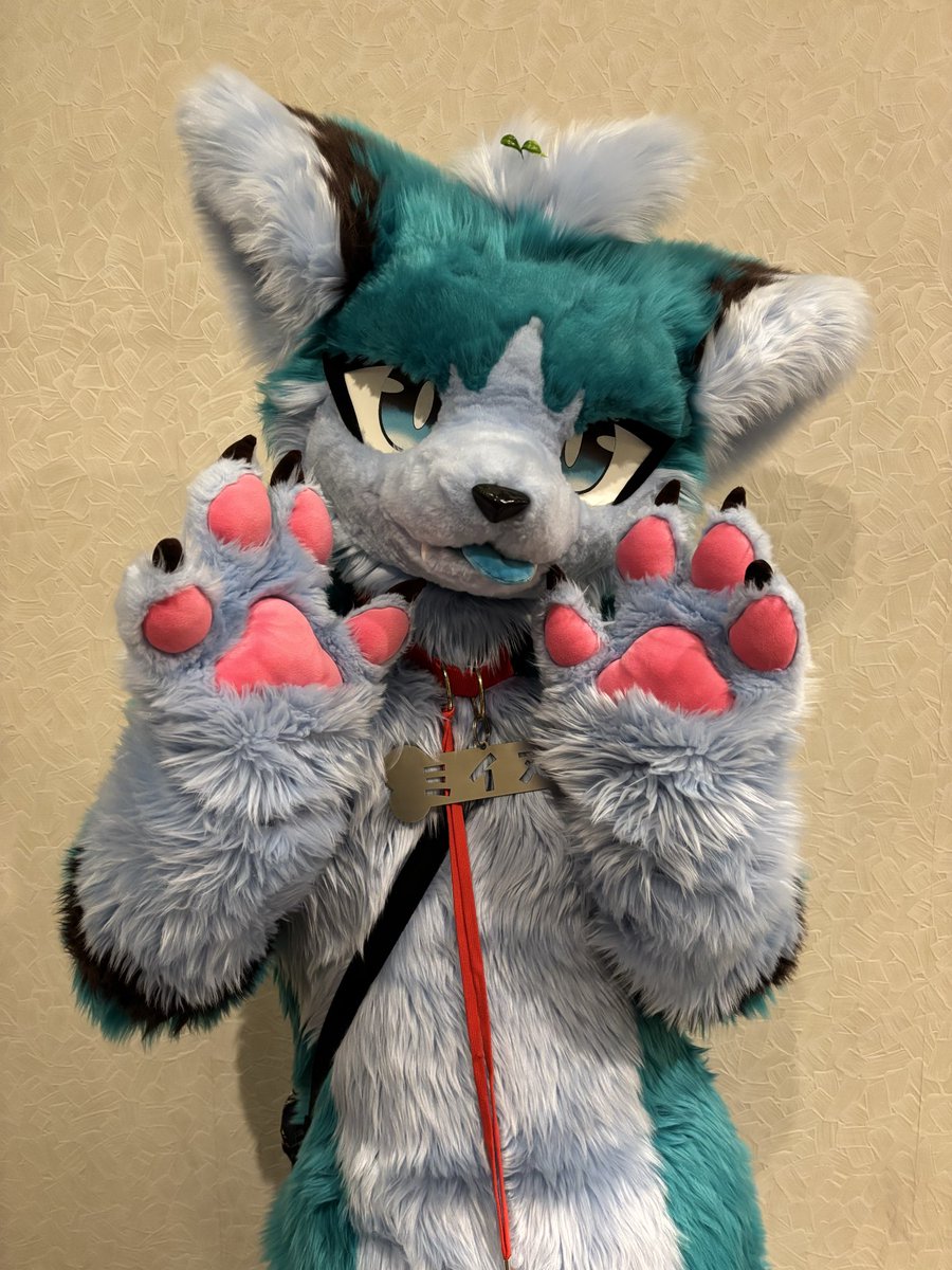 じゅうっとん (@10t100t1000tt) / Posts / X