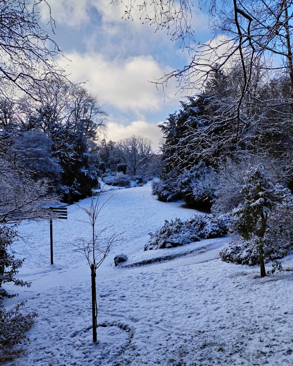 HRP_palaces's tweet photo. Brrrr-illiant views! 🥶 The snowy weather arrived Hillsborough Castle and Gardens earlier in the week ❄️ Check out at these wintry #PalacePhotos 📸 

Will you be visiting one of the palaces this weekend?  

📷 Photos taken by an HRP Member and Gardens Team. https://t.co/xLqCvAQsiJ