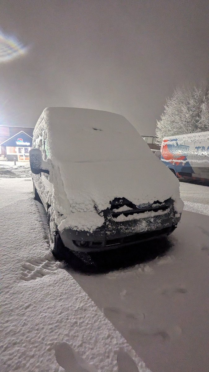 Shaun Todd tweet media