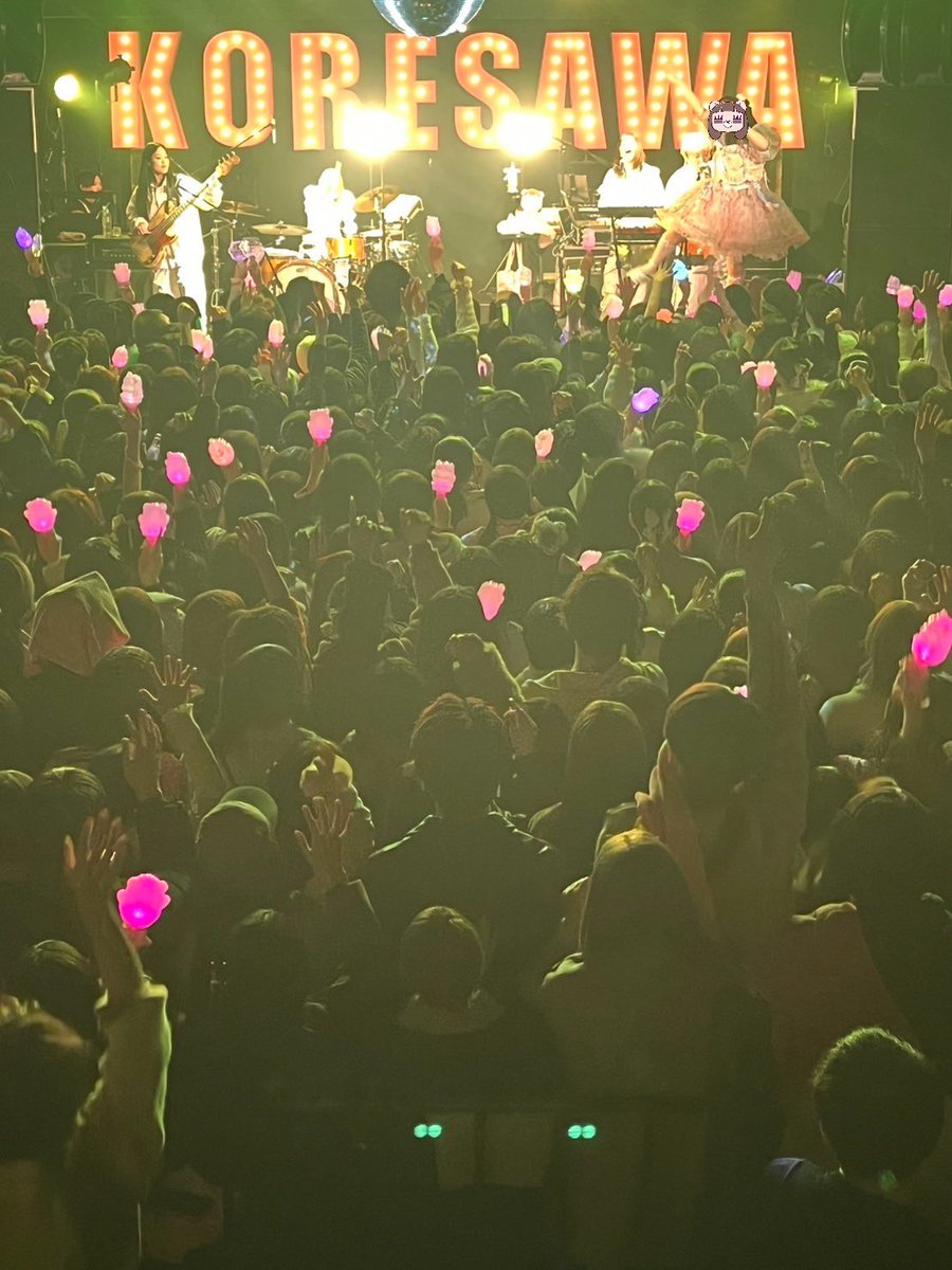 コレサワ tweet media