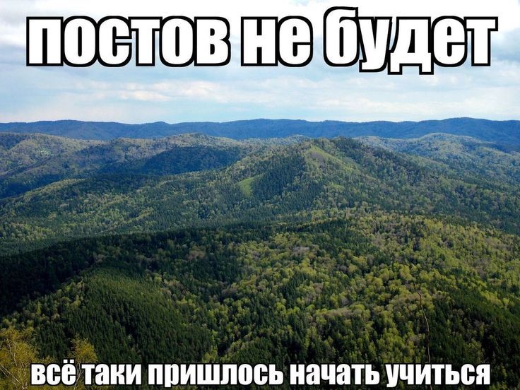 міуфі із запахом кориці 合 🦷 (@ssonmiu) on Twitter photo 