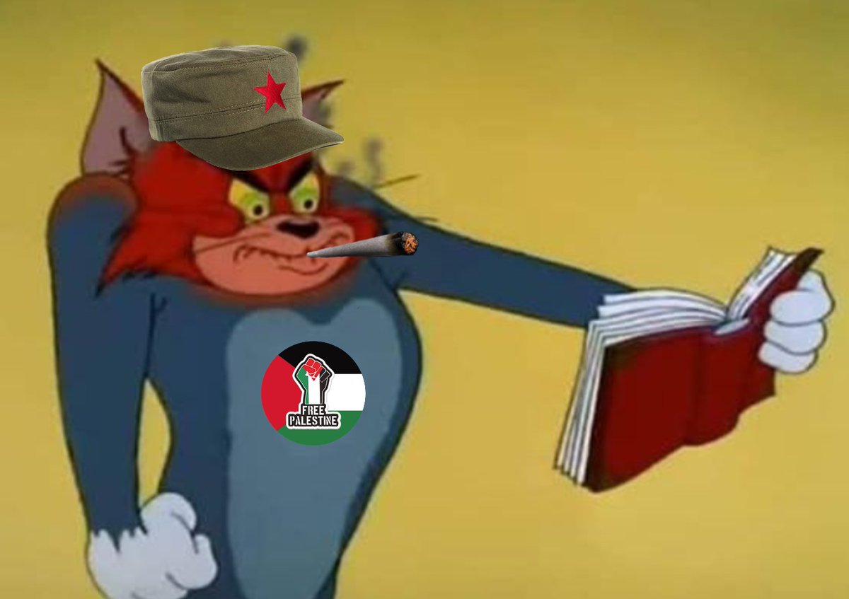 Los zurdos de "Palestina libre" viendo como los venezolanos e iraníes también quieren ser libres