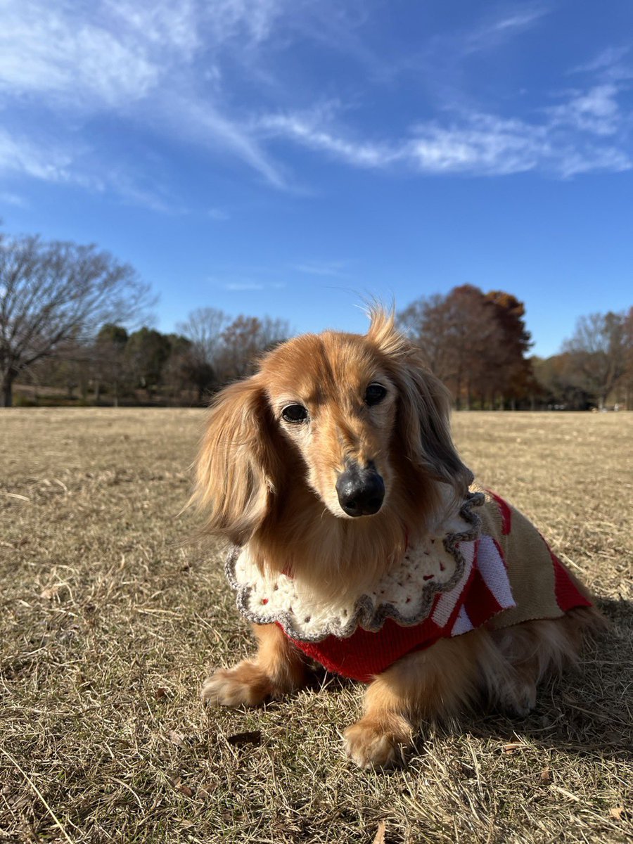 まろん🔰バイク初心者🔰 (@maron1234_) / Posts / X