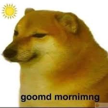 OGCheemsX's tweet image. gcheems