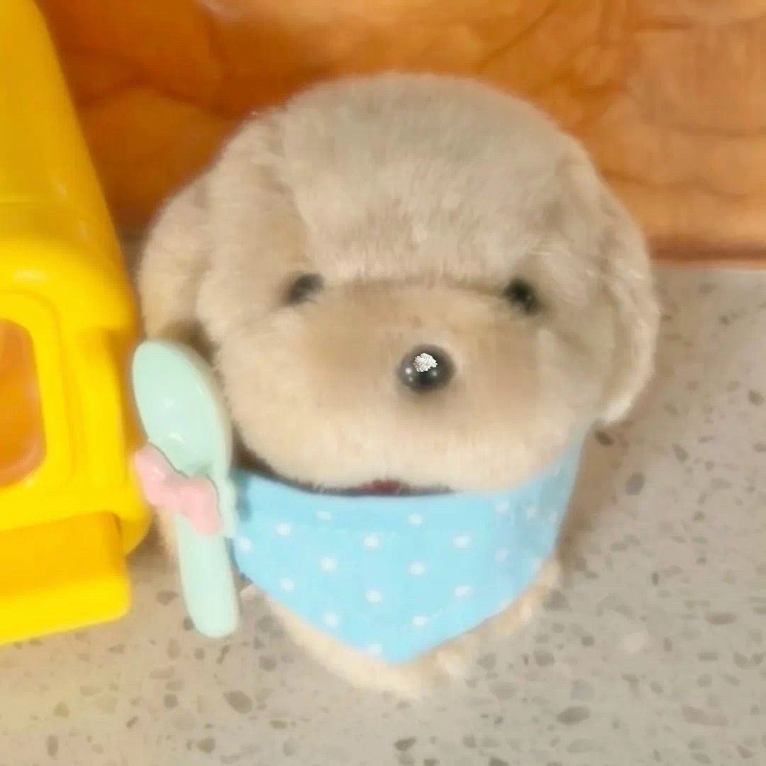 bbinniebabe's tweet image. 