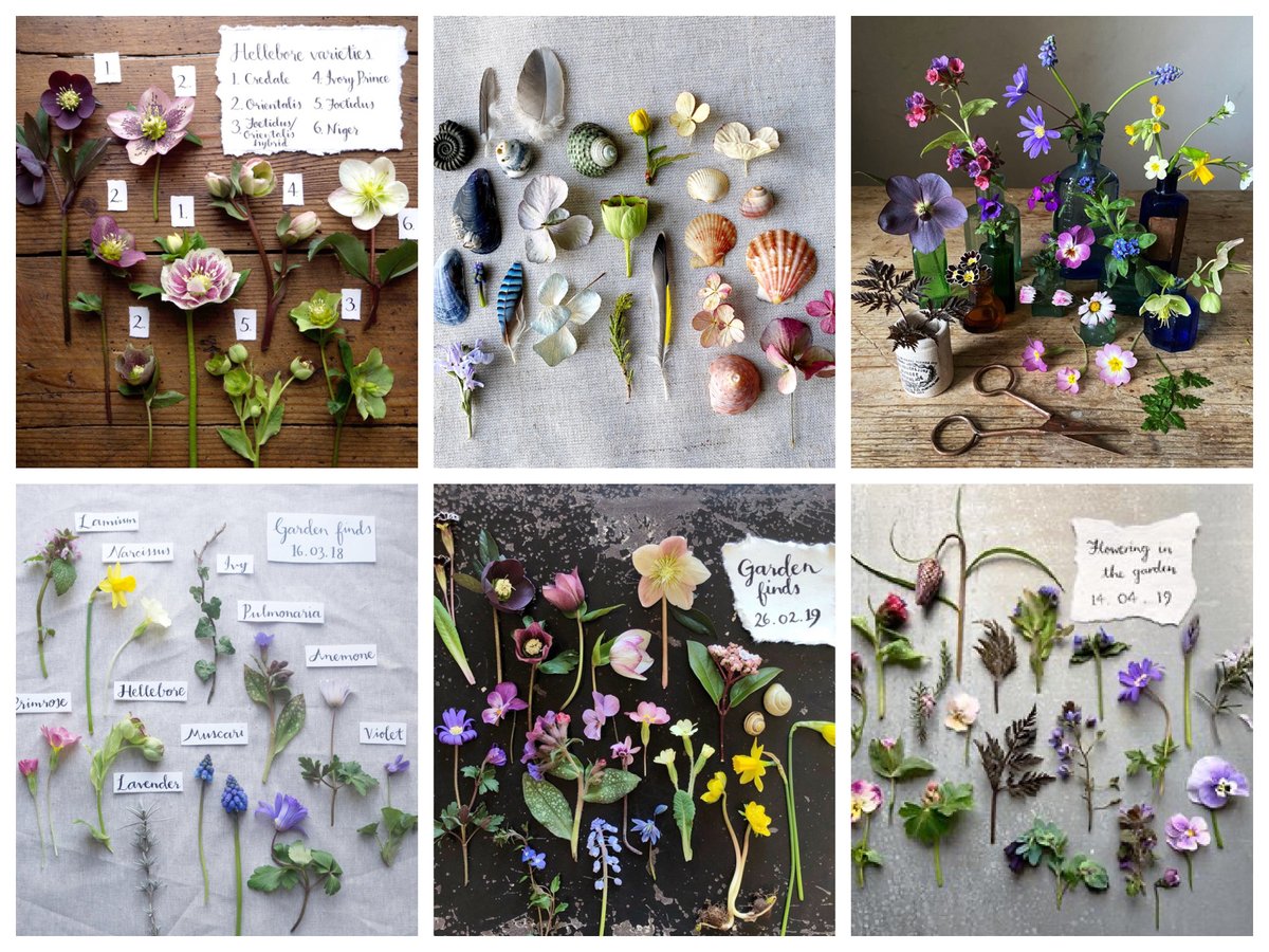 silverpebble's tweet image. I create my photos using recent research so they alleviate stress &amp;amp; are likely to lift mood when you look at them.  If you'd like to own paper or electronic versions &amp;amp; support me at the same time I have high res screensaver sets or you can buy me a coffee (click 'tip') here:…