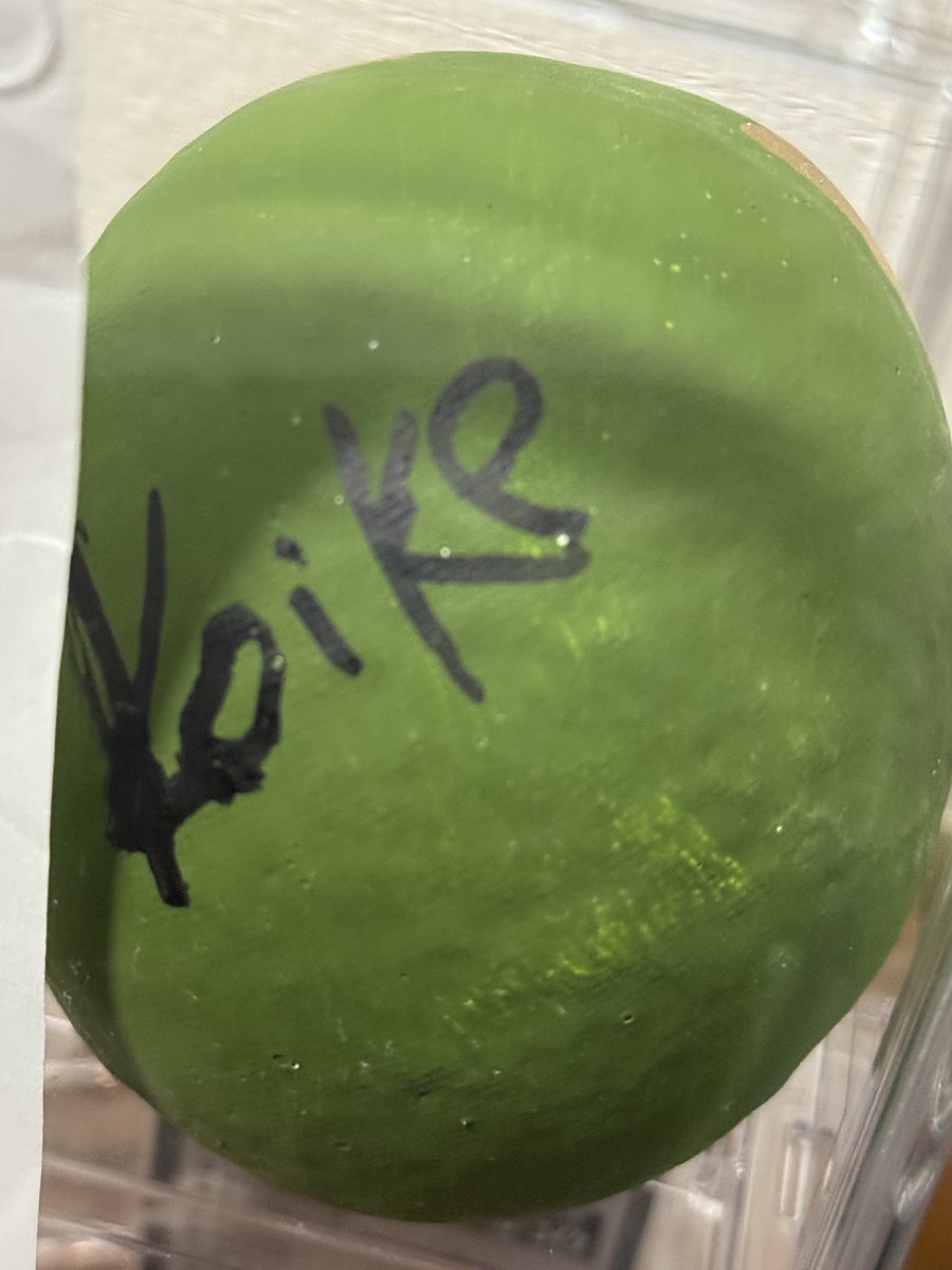 2年前の大晦日前日。
たまアリのコミュニティアリーナで行われたビンゴ大会で入手した、萩原選手とクレベル選手の勝ちダルマ。
ようやく思ったような形でディスプレイできました。
思えばこの時のLANDMARKは今みたいに、大観客とかではなかったよなぁ…
※裏には萩原選手とクレベル選手のサイン入り✍️