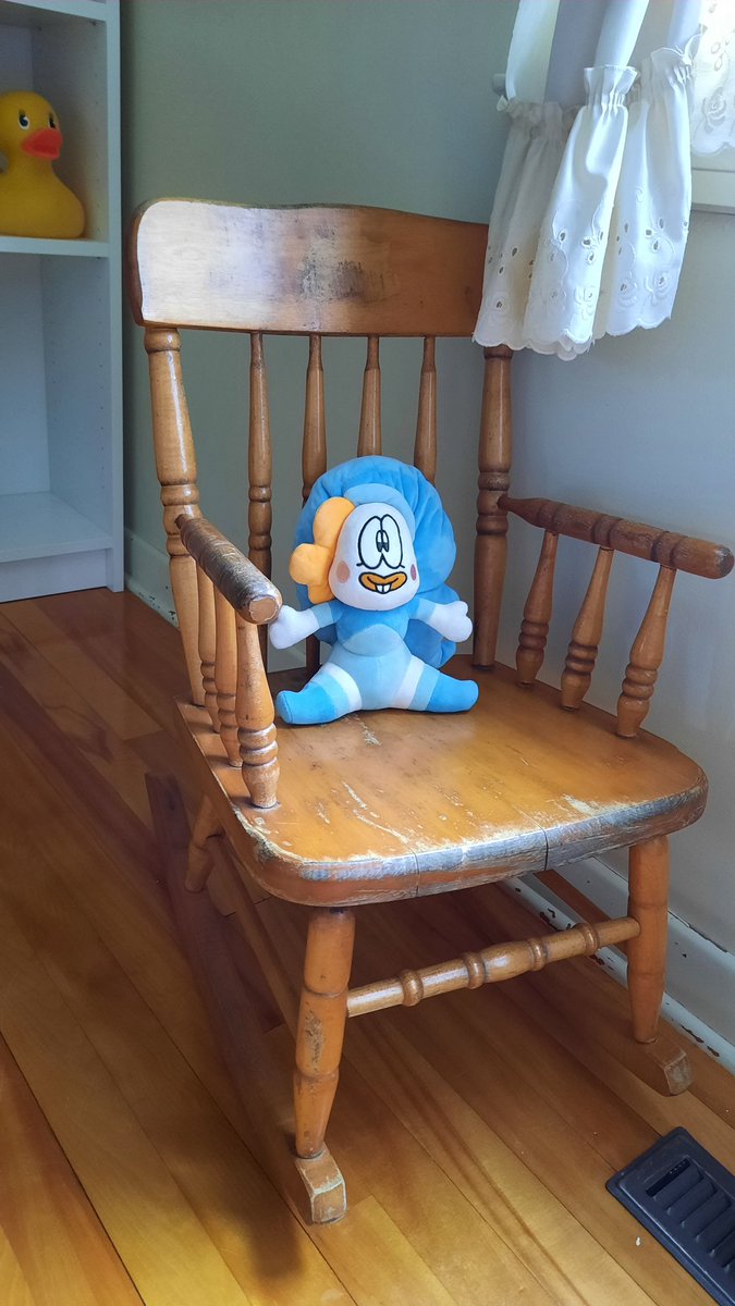 What kind of bug is this