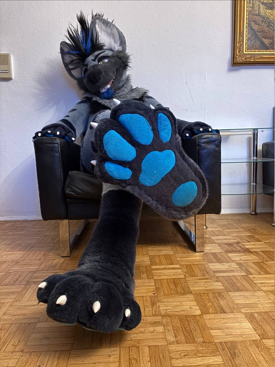 SzurkyWolf's tweet image. It's time to rest a little before the weekend.
And rest your paws.....🐾

📸 @Andrew_fox62 
Fursuit @Tiwoof 

#FursuitFriday #Furrypaws #Pawsfurry #Fursuit #Yeenfurry #furryfandom