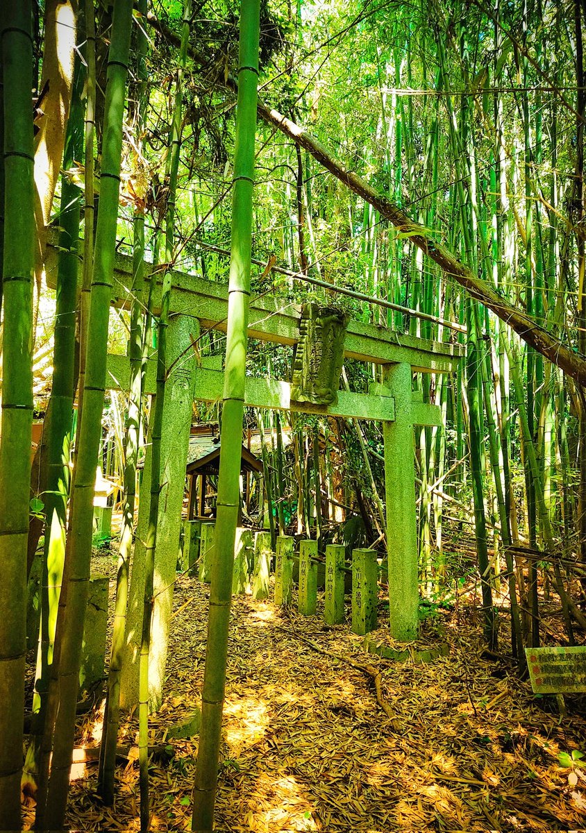 竹藪に沈む廃神社