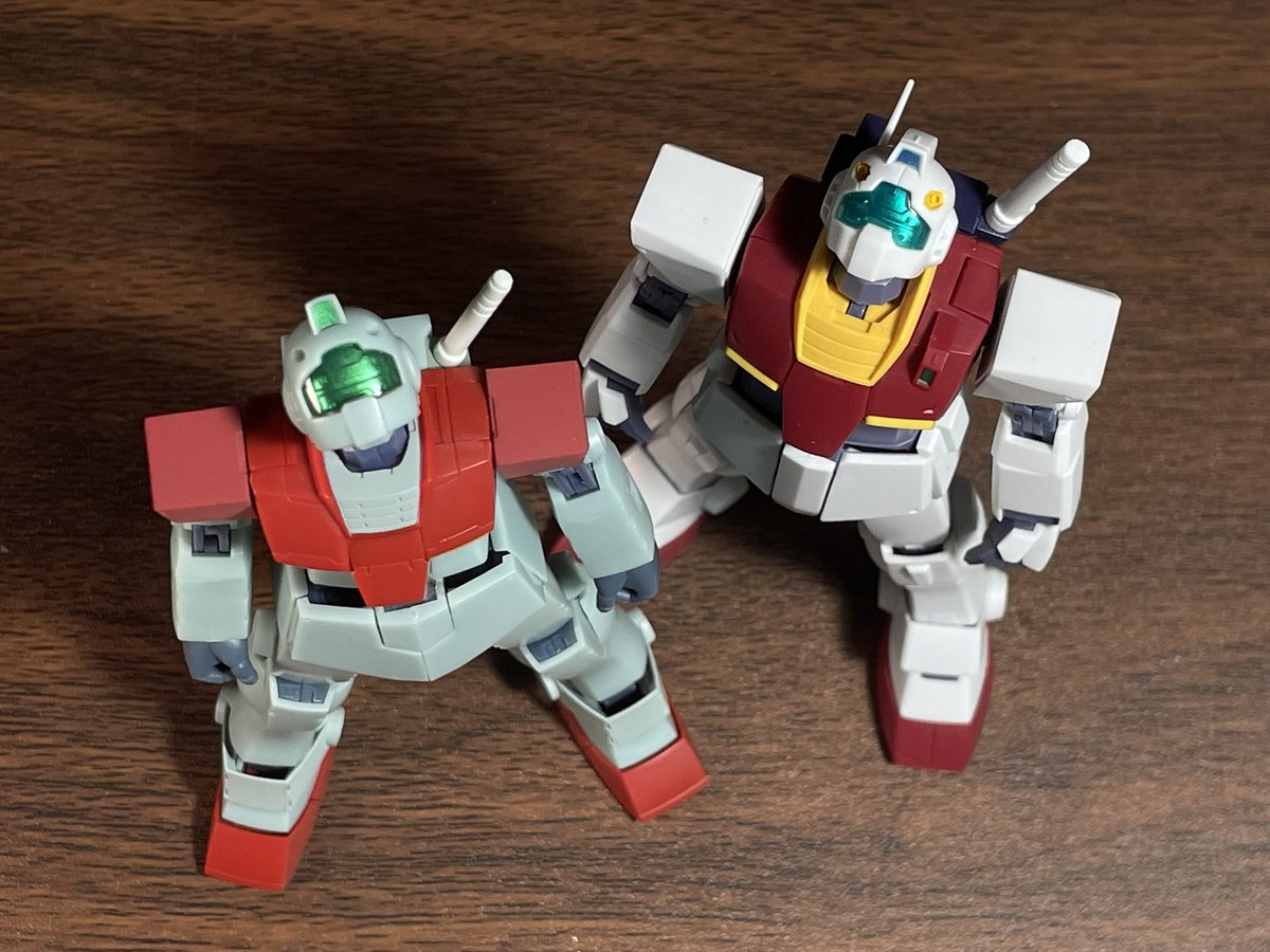 Bugs when you lift up a rock