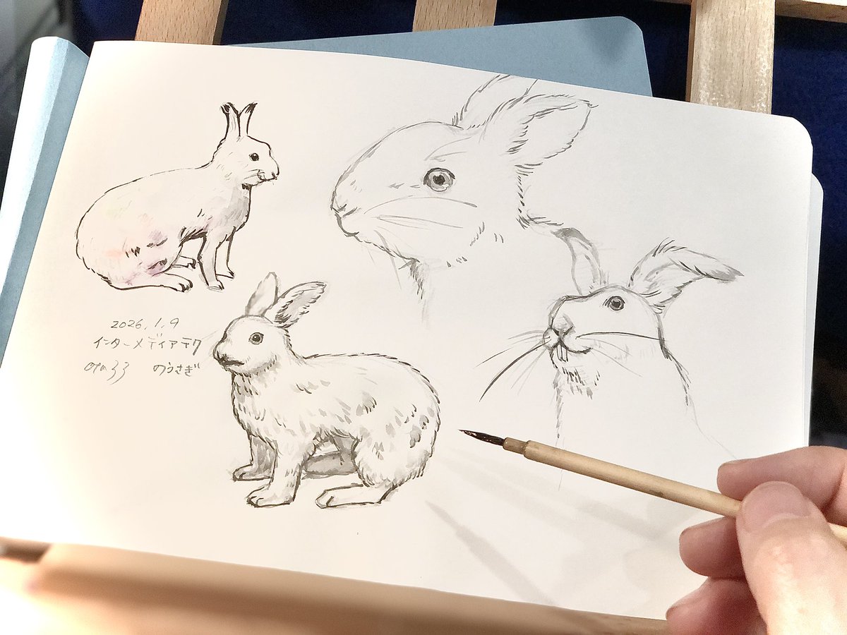 ☆うさぎさん。ページ☆ インターメディアテクへ行きました👀 ご依頼に向けてうさぎさんの剥製