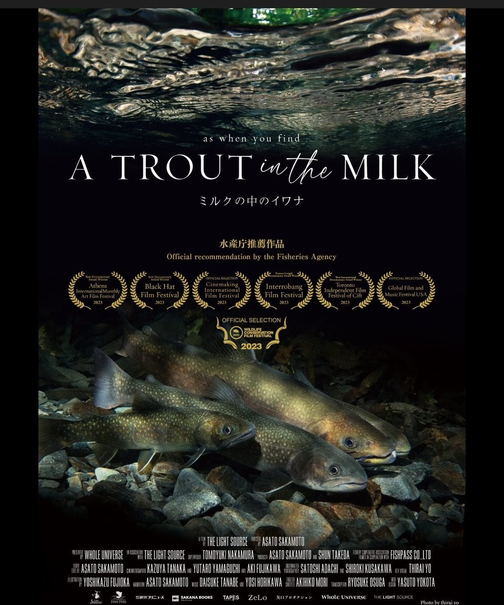 この映画は、 美しいイワナの生態を通じて 「人間と自然の関係」 「環境問題」といった深遠なテーマを問いかける作品で、 詩人ソローの言葉  「ミルクの中のイワナ」に由来し、 「状況証拠から真実を見出す」 意味も込められています。 https://t.co/G6nsVTDtQC 渡良瀬 ...