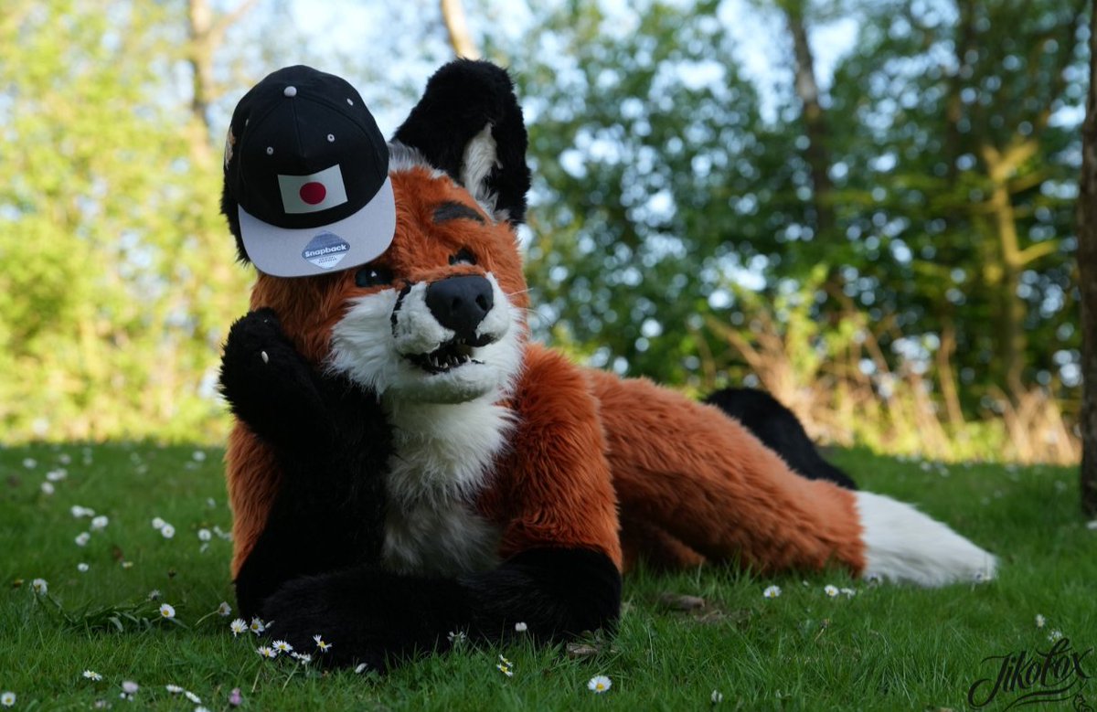 ZYonshi's tweet photo. Happy #FursuitFriday Everyone 
🦊🌳🦊🌳🦊🌳🦊🌳🦊🌳🦊🌳
📷 @JikoFox 
#furry #furryfandom #foxfriday #furr https://t.co/NzRNIUf5dh