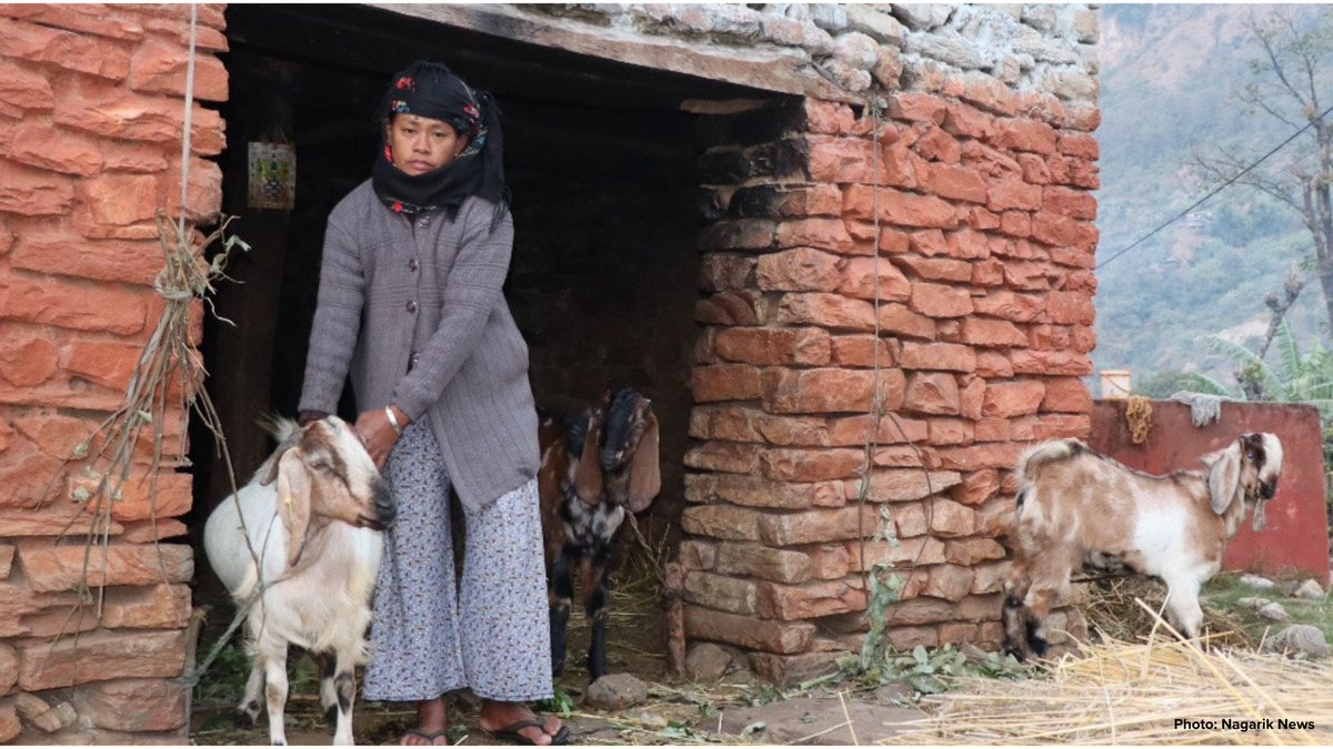 UNDPNepal's tweet photo. 📍 Beni Municipality in Myagdi district is using data to deliver dignity.

Through the Socio-Economic Vulnerability Information Management System (SEVIMS) under UNDP’s Sambodhan Initiative, the local government is identifying real needs, preventing duplication of support, and reaching the most vulnerable fairly and transparently. Similarly, for the first time in Nepal, a software-based household information system has been integrated with QR-coded electronic house numbering, enabling real-time access to verified household and location details.

From livelihood grants to housing assistance, data-driven planning is helping ensure no one is left behind.
SEVIMS is now being used in multiple municipalities across Nepal.

🔗 Read more: https://t.co/2sJ9IE5BUb