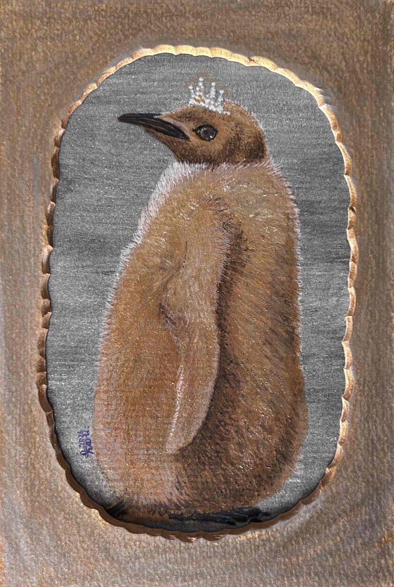 ならペンギンランド まであと5日！ さっぽろペンギンコロニーから参加