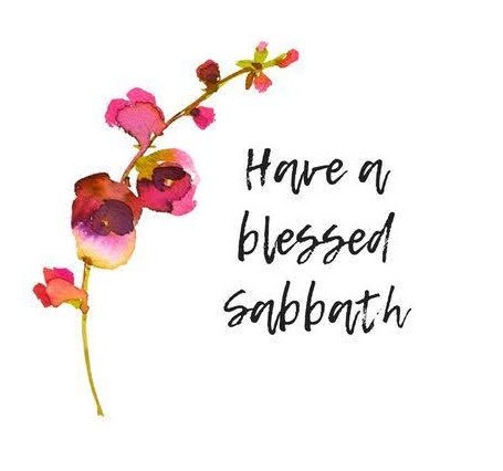 luckaged's tweet image. Shabbat Shalom everyone! 🤍💙