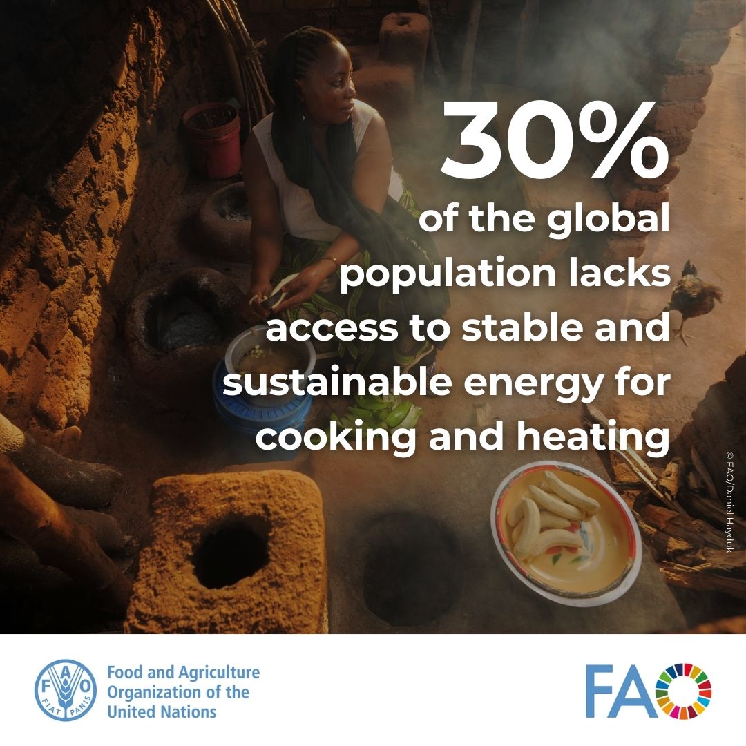 FAOclimate's tweet image. A transition to modern, renewable, #cleancooking solutions is crucial to achieving affordable, reliable, sustainable energy for all. 

fao.org/energy/en

#SDG7