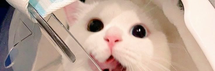 jasvxmine's tweet photo. Test masuk? #zonauang https://t.co/HryXzYuUfd