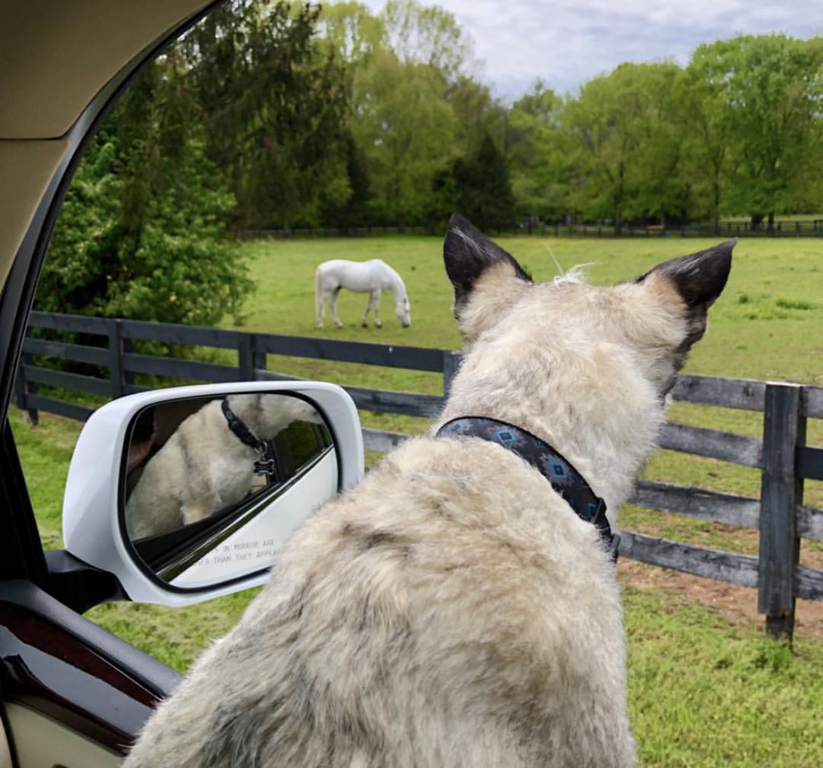 Dale 🐾 tweet media