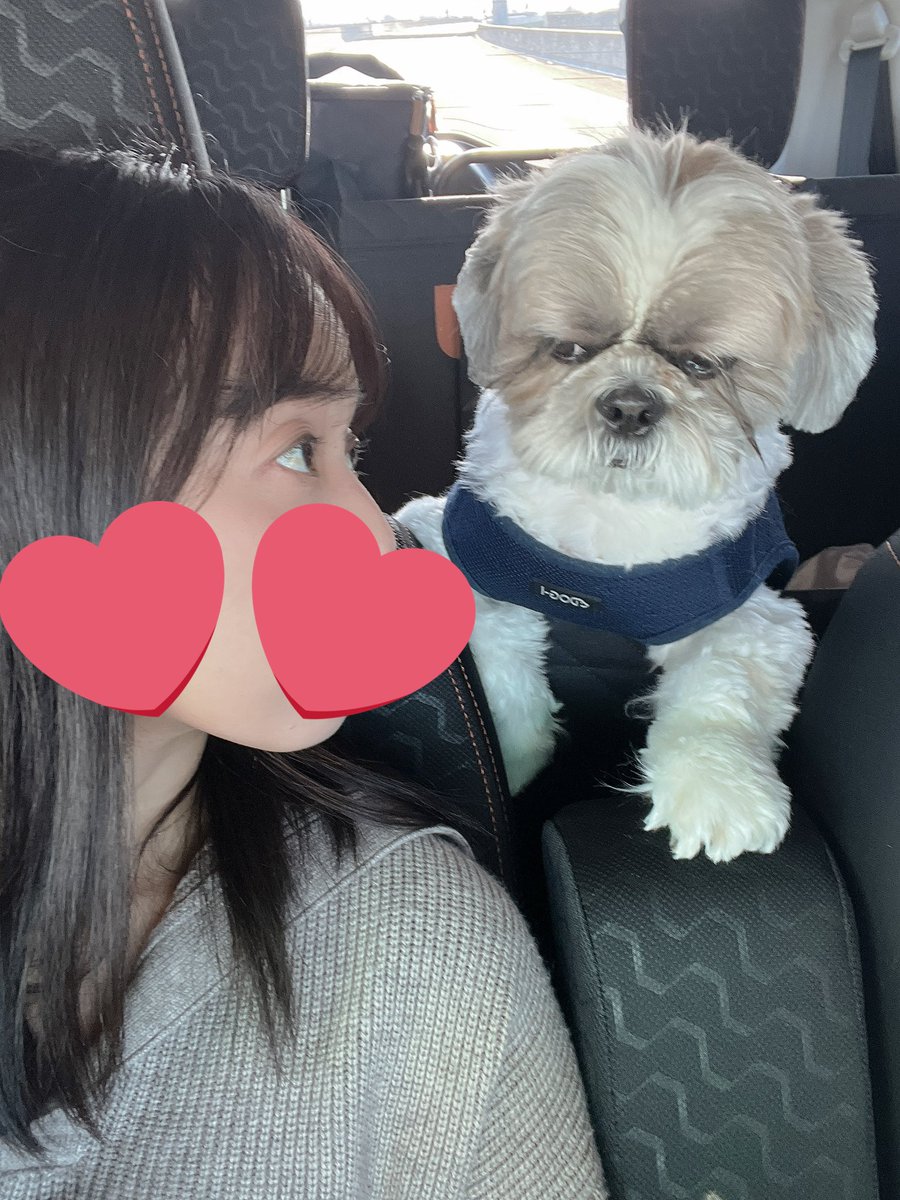 めるも「ボク うぃん、弟はエア 妹はエイル よろしくね