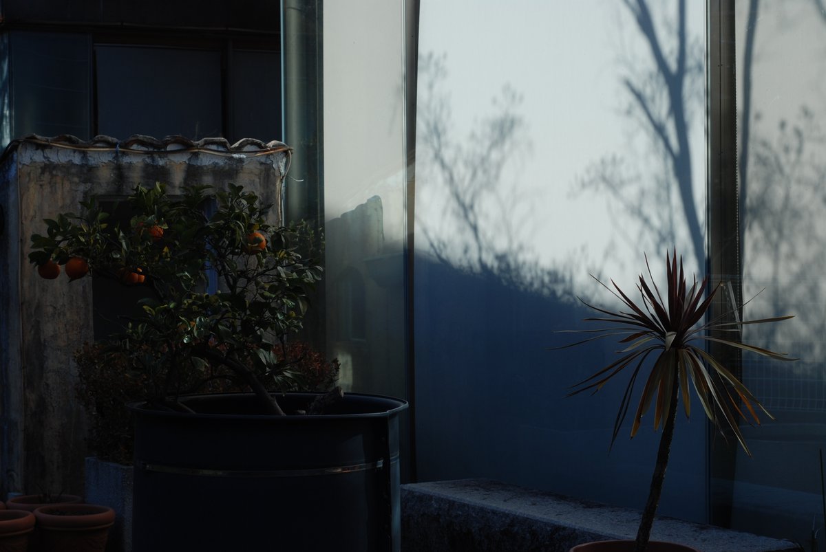 FujioOhmae's tweet photo. Nikon D80 https://t.co/YuvxIq4h8S
