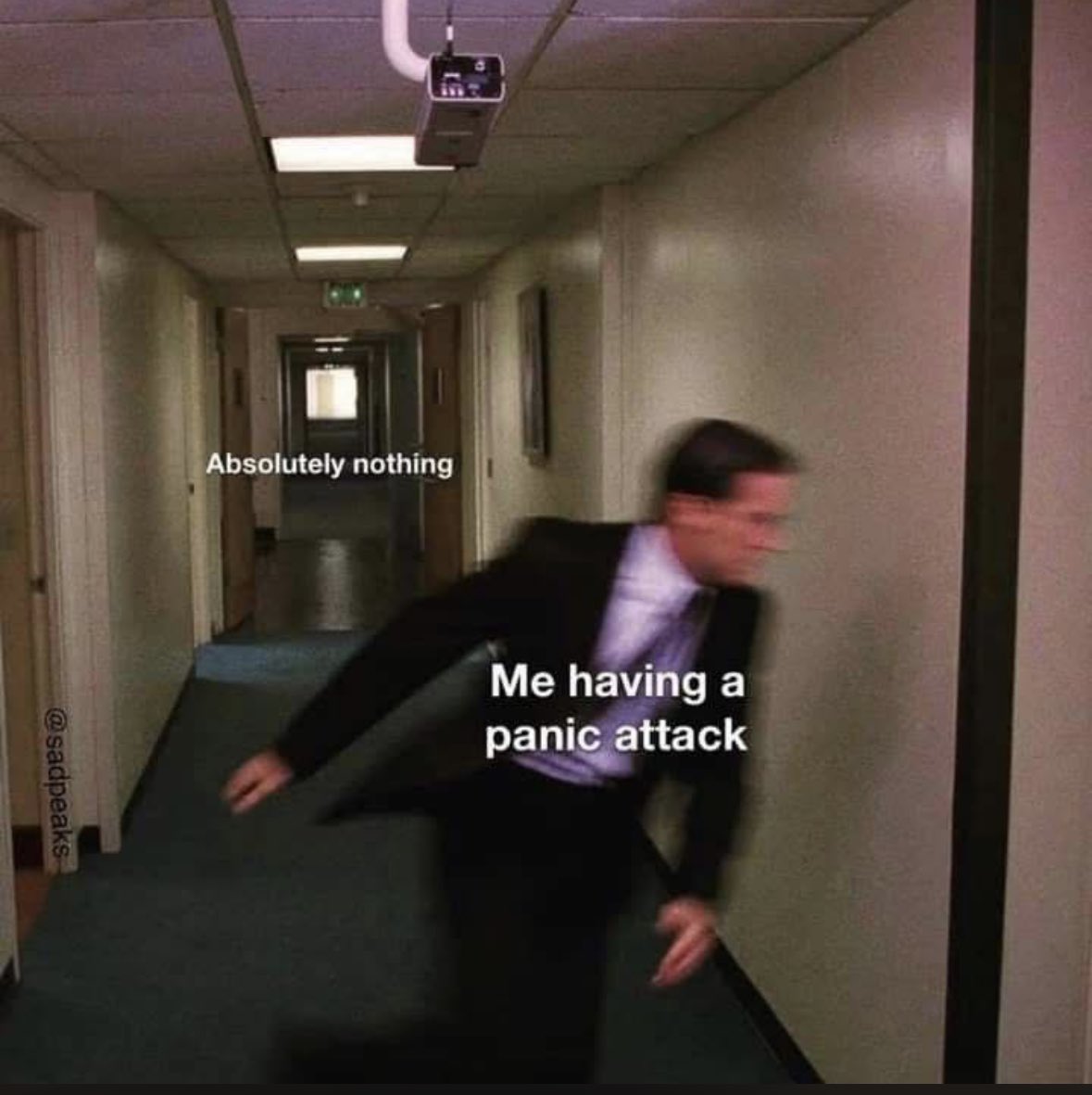 Sexual dimorphism in the meiotic requirement for PRDM9: A mammalian  evolutionary safeguard | Science Advances, image size:1179x1181